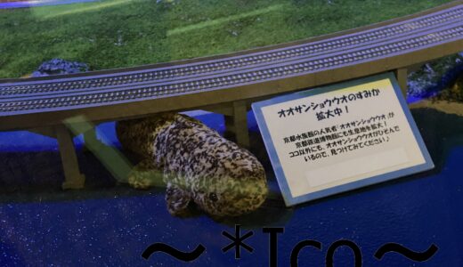 京都鉄道博物館(2回目・2023年夏)へ